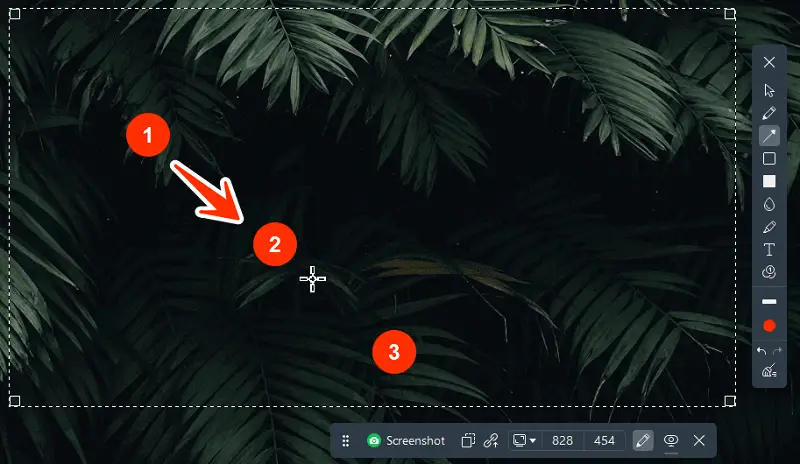 Icecream Screen Recorder 12 Icecream Screen Recorder 12